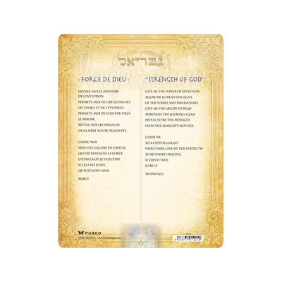 CARTE – PROTECTION – BIL – GABRIEL/GABRIEL